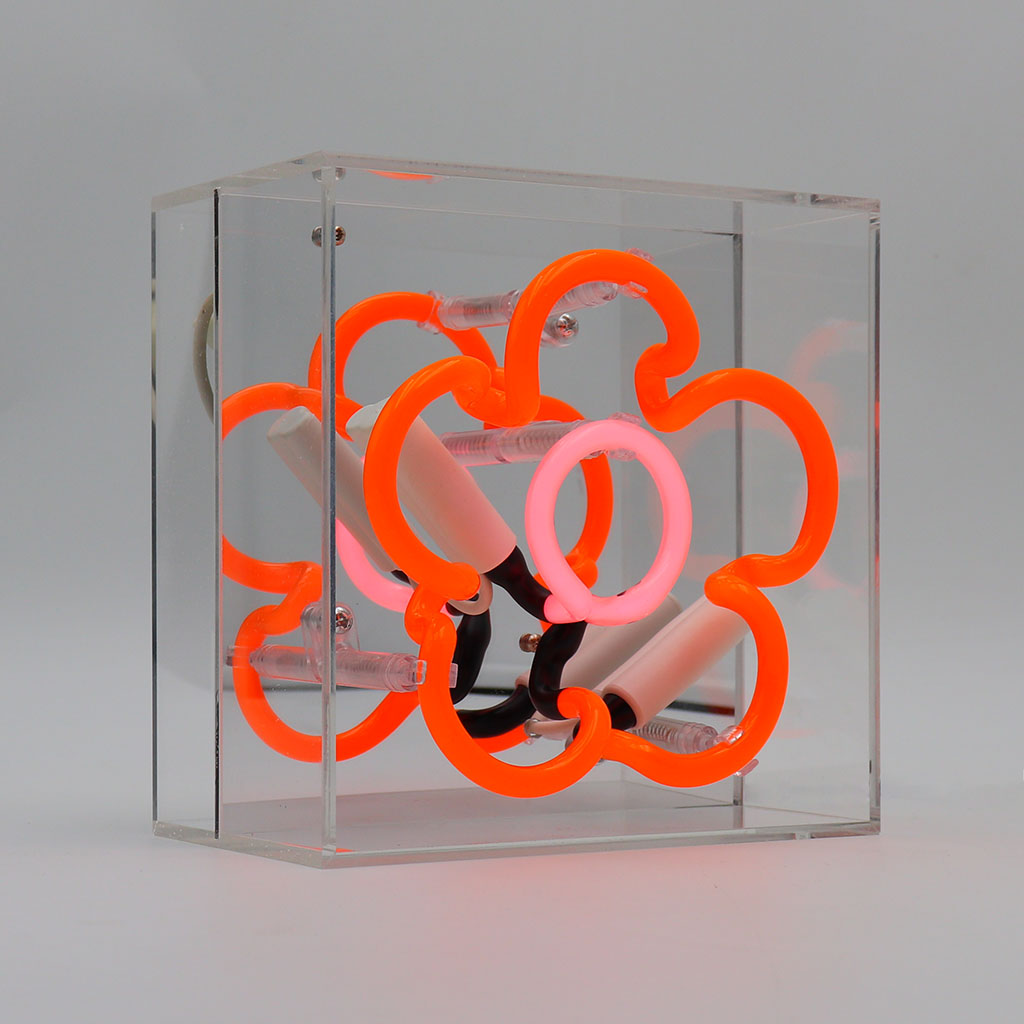 'Daisy' Mini Glass Neon Sign - Locomocean Ltd