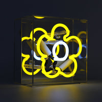 'Daisy' Mini Glass Neon Sign - Locomocean Ltd