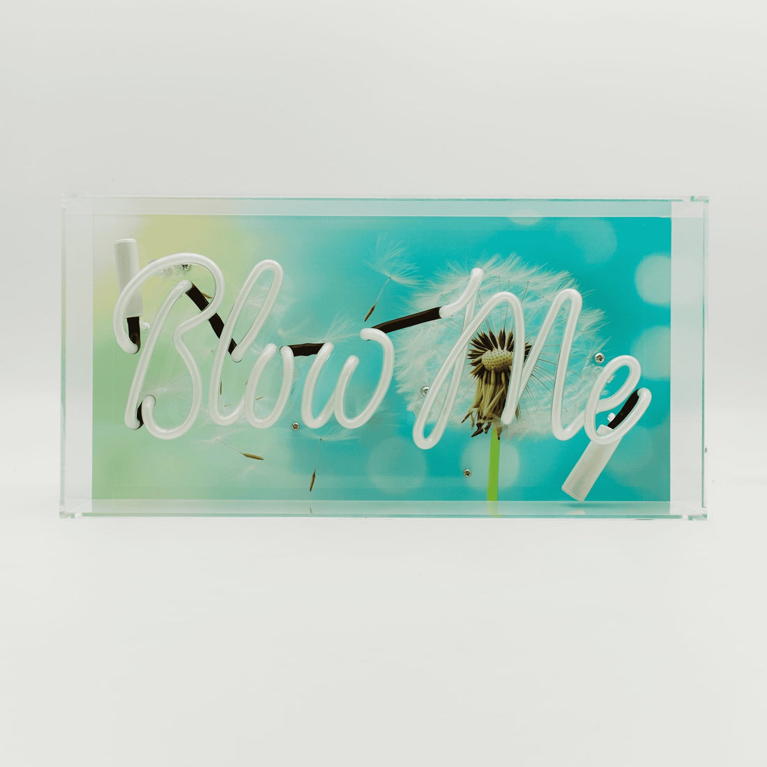 'Blow Me' Glass neon Sign - Locomocean Ltd