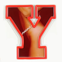 Playboy X Locomocean - Playboy Wordmark Red LED Wall Mountable Neon - Locomocean Ltd