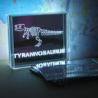 'Dinosaur' Acrylic Box LED - Locomocean Ltd