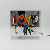 'Love Wins' Acrylic Box Neon Light - Locomocean Ltd