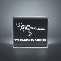 'Dinosaur' Acrylic Box LED - Locomocean Ltd