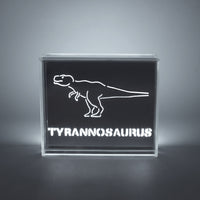 'Dinosaur' Acrylic Box LED - Locomocean Ltd