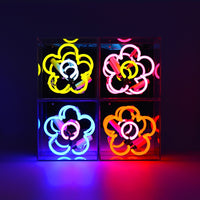 'Daisy' Mini Glass Neon Sign - Coming Soon! - Locomocean Ltd