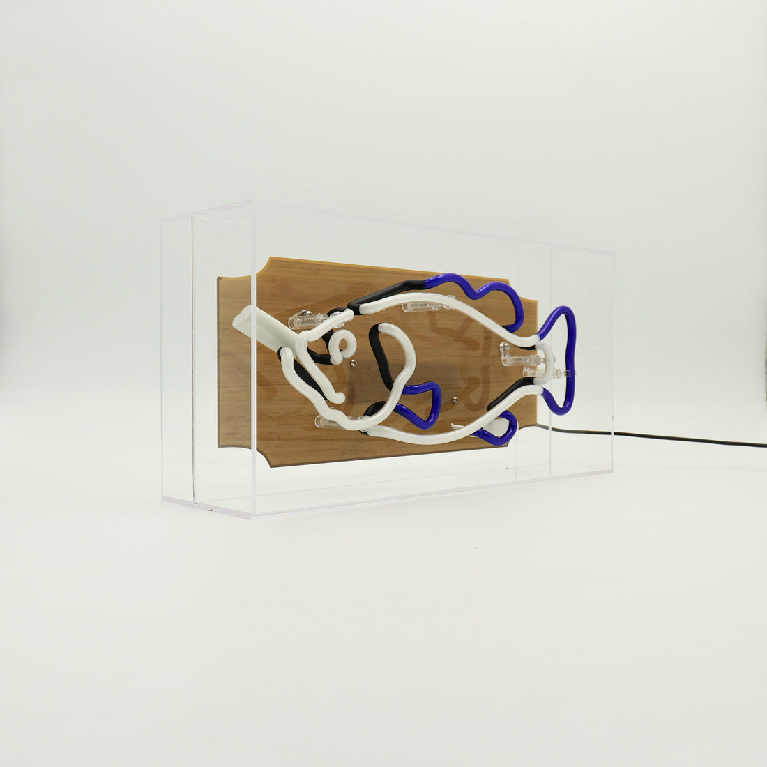 'Trophy Fish' Glass Neon Sign - Locomocean Ltd