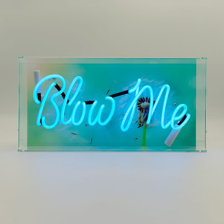 Below Me Sign 'Blow Me' Glass neon Sign - Locomocean Ltd