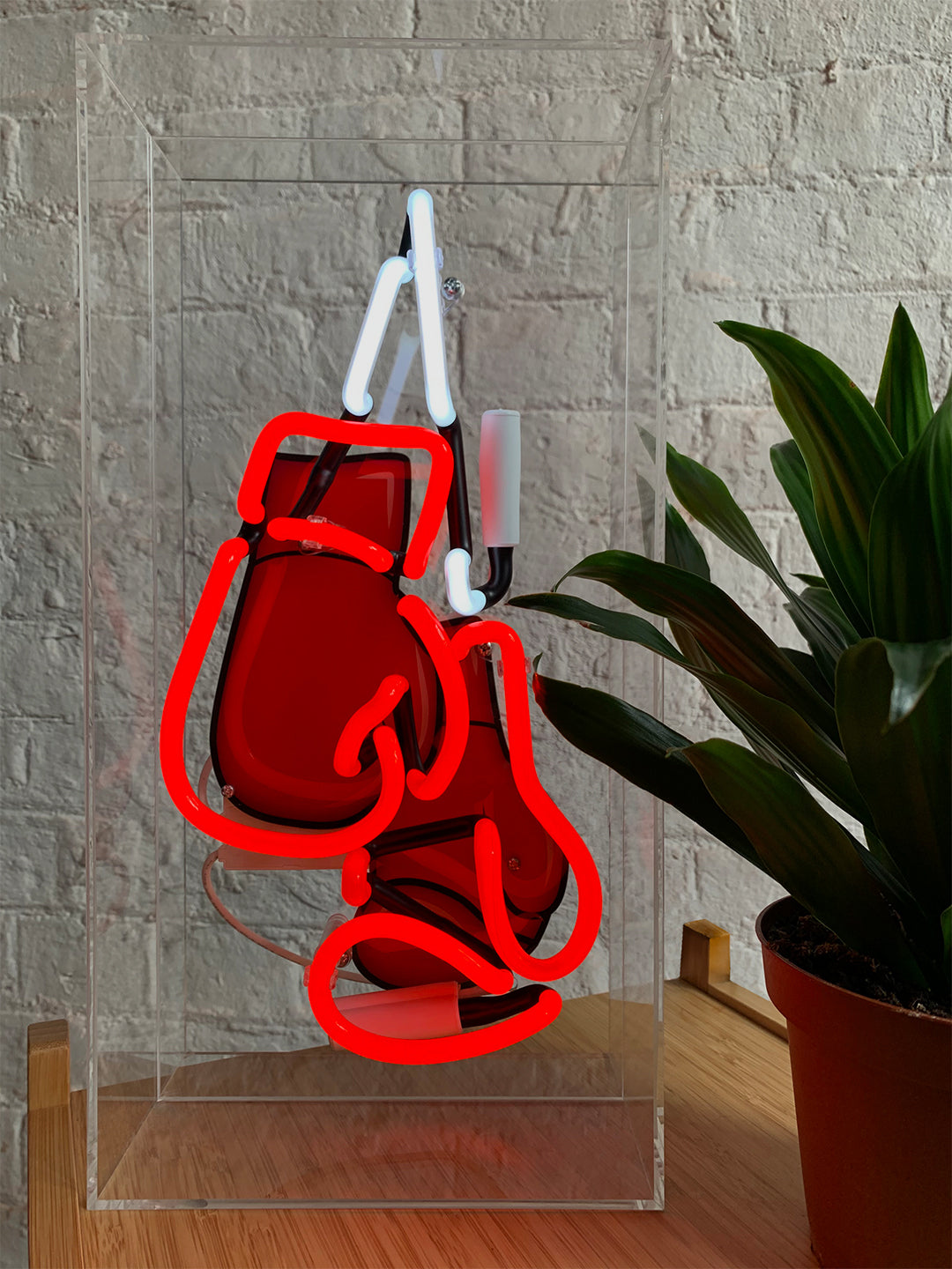'Boxing' Large Acrylic Box Neon - Boxing Gloves with Graphic - Locomocean Ltd