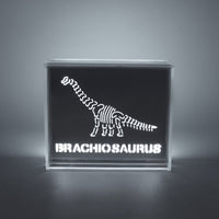 'Dinosaur' Acrylic Box LED - Locomocean Ltd