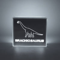 'Dinosaur' Acrylic Box LED - Locomocean Ltd