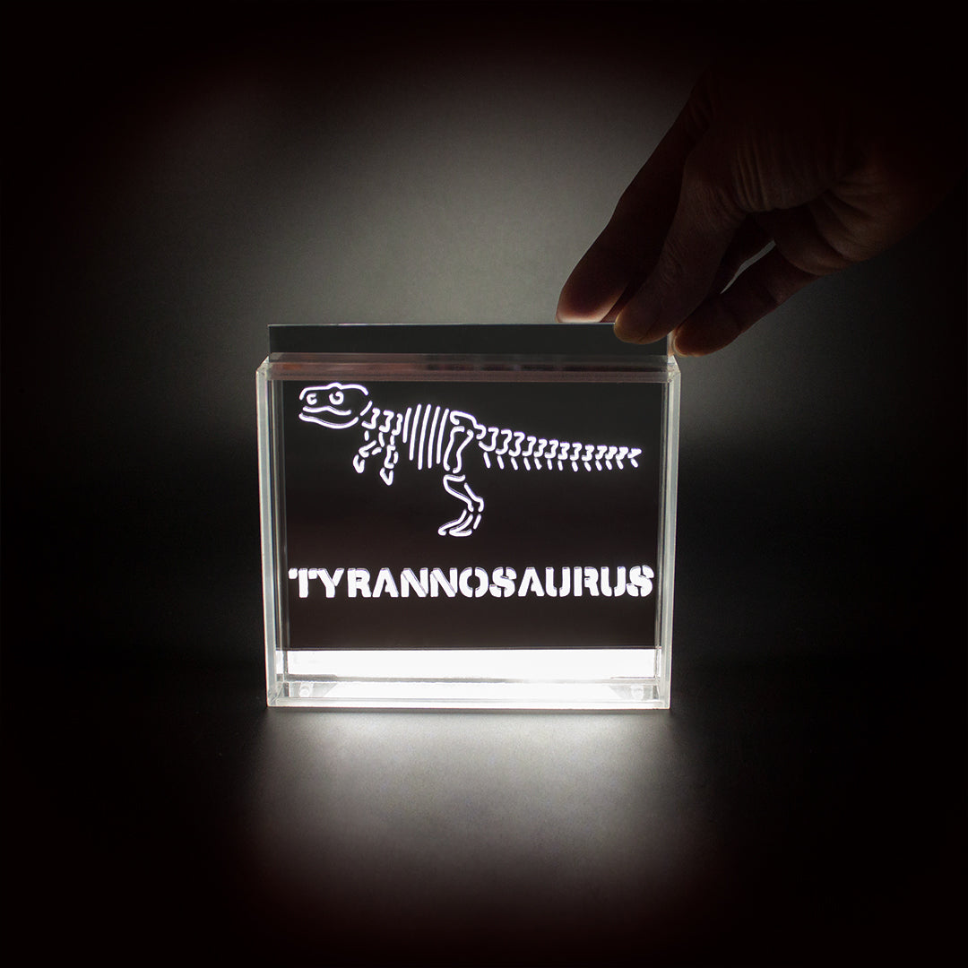 'Dinosaur' Acrylic Box LED - Locomocean Ltd