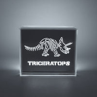 'Dinosaur' Acrylic Box LED - Locomocean Ltd