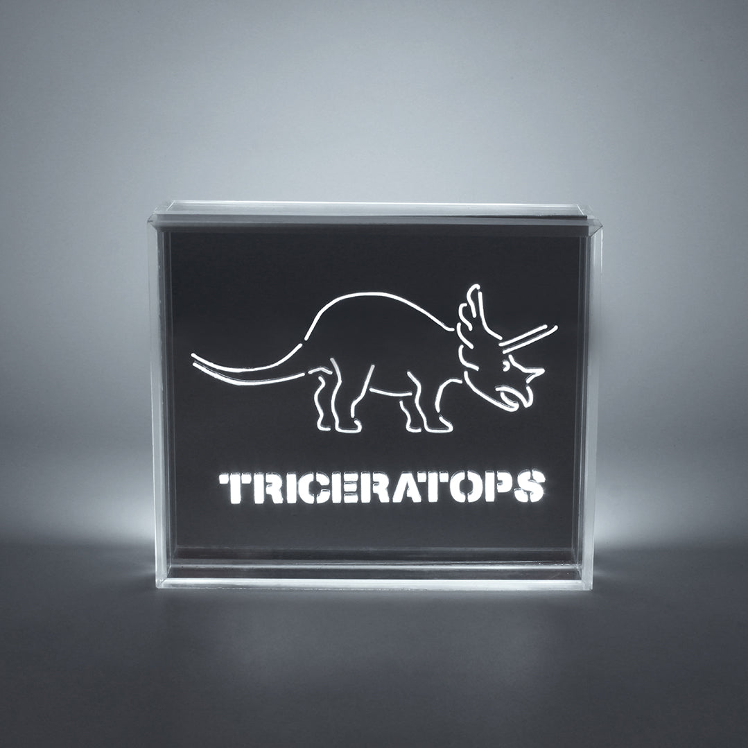 'Dinosaur' Acrylic Box LED - Locomocean Ltd
